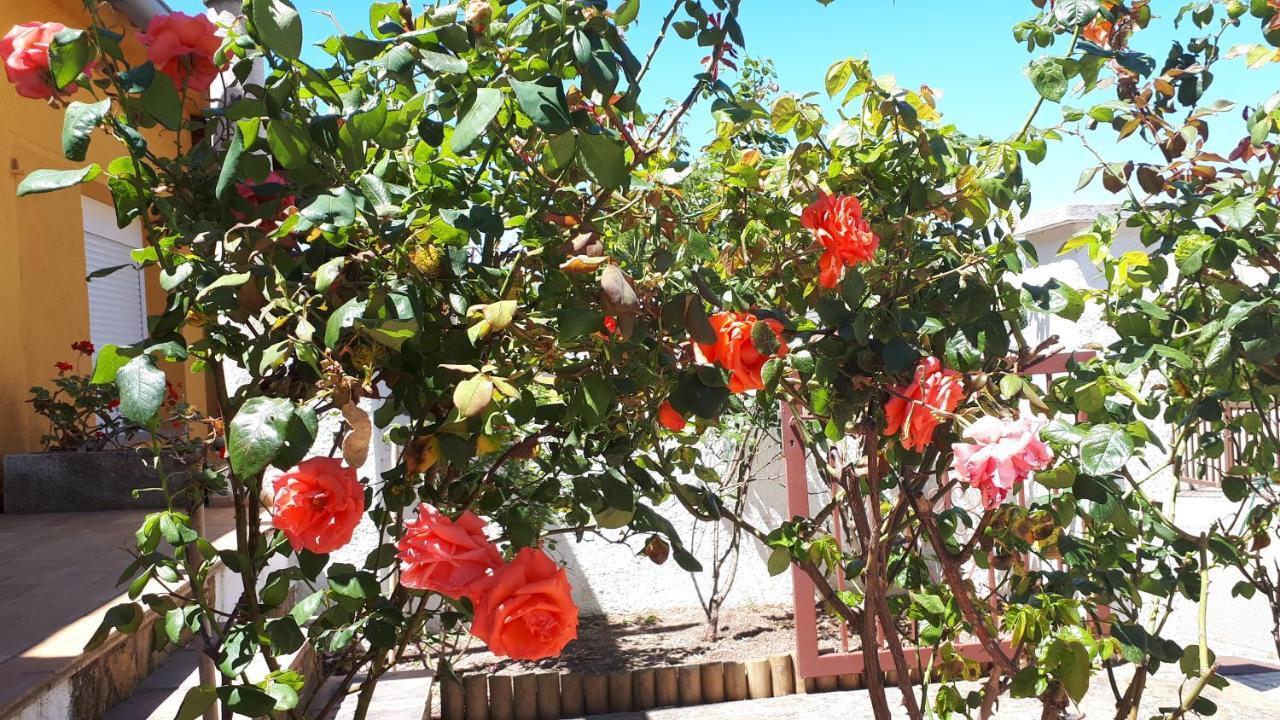 L' Escala Casa Els Rosers Wifi מראה חיצוני תמונה
